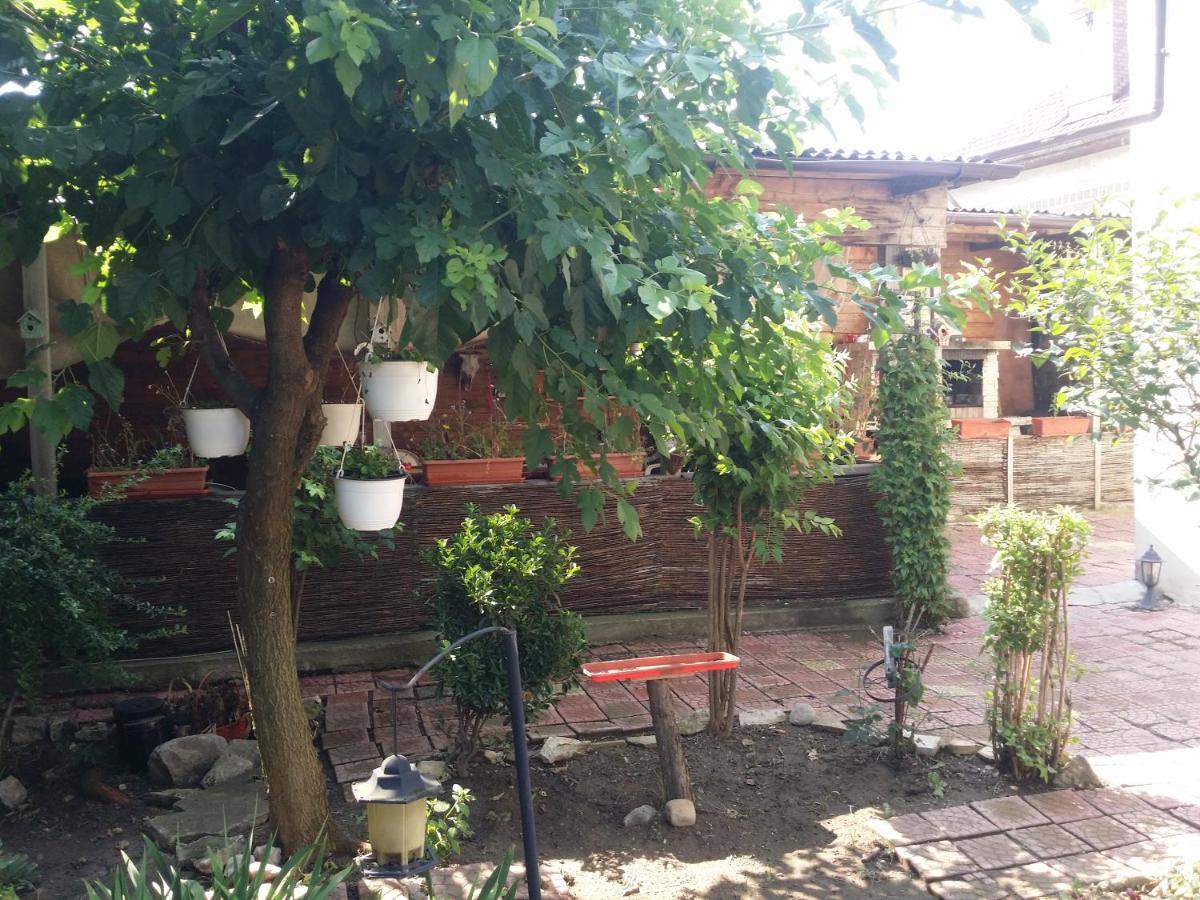 Casa Trandafirilor Hotel Tulcea Exterior photo