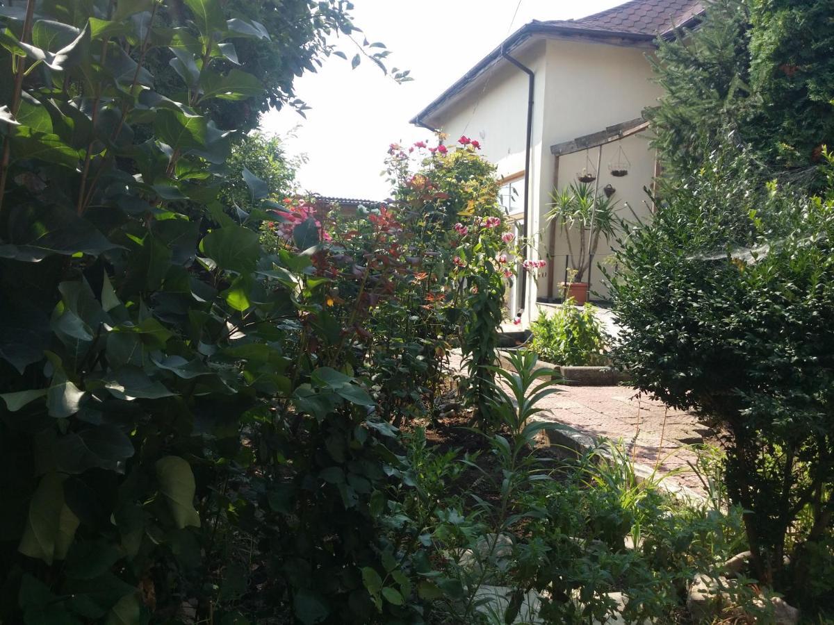 Casa Trandafirilor Hotel Tulcea Exterior photo