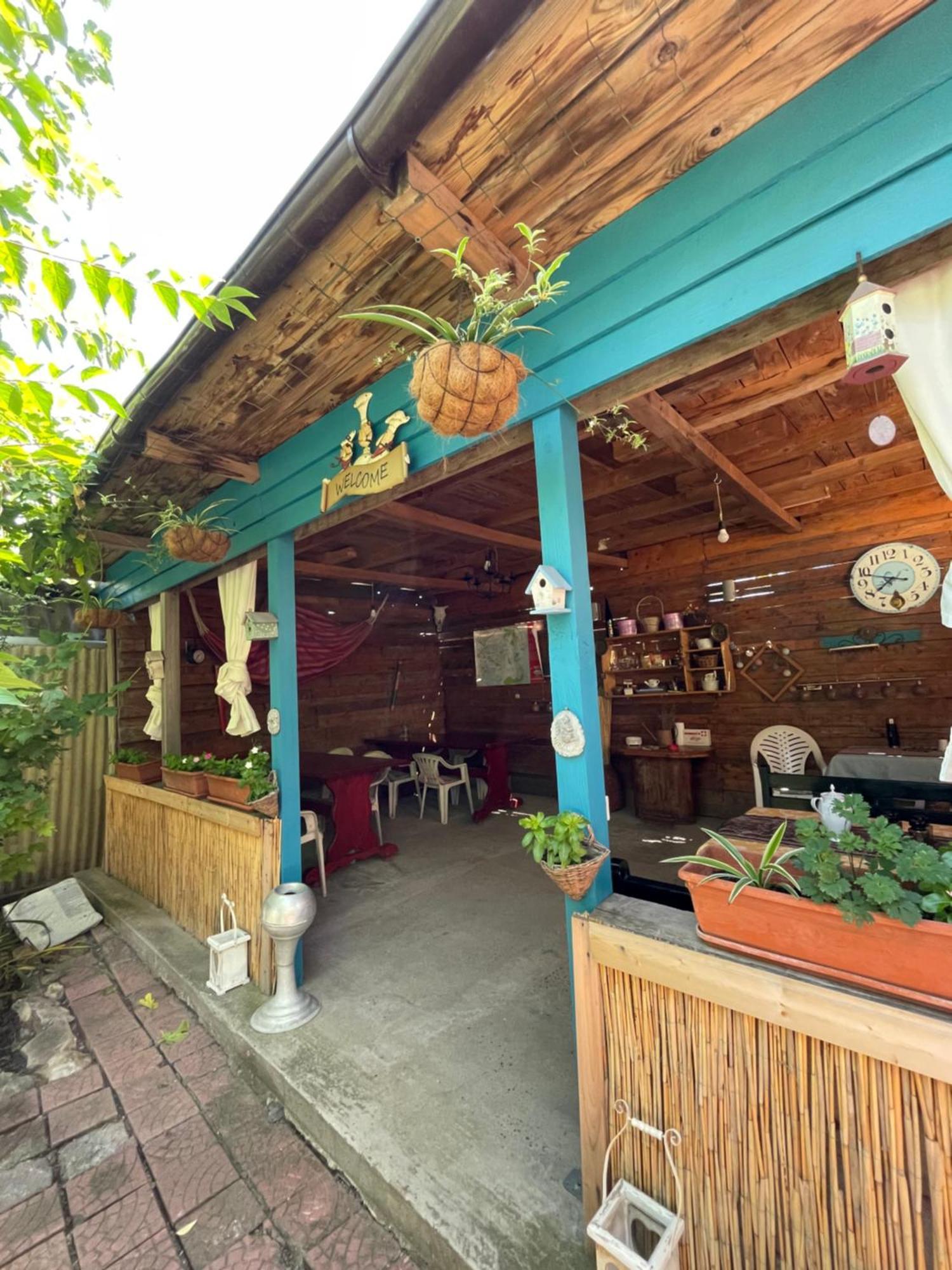 Casa Trandafirilor Hotel Tulcea Exterior photo